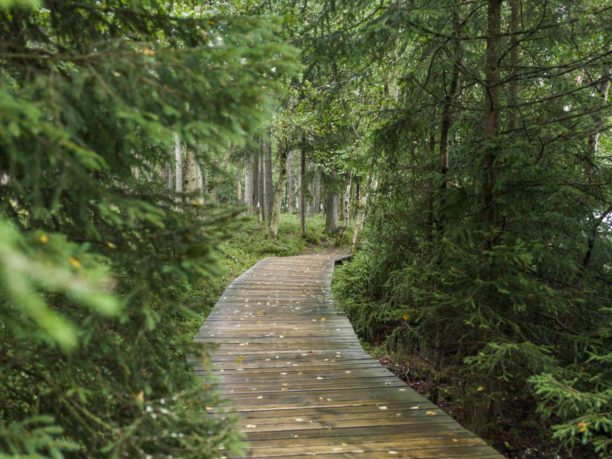 Falkensteiner Spa Resort Mariánské Lázně المظهر الخارجي الصورة The boardwalk at the end of the trail